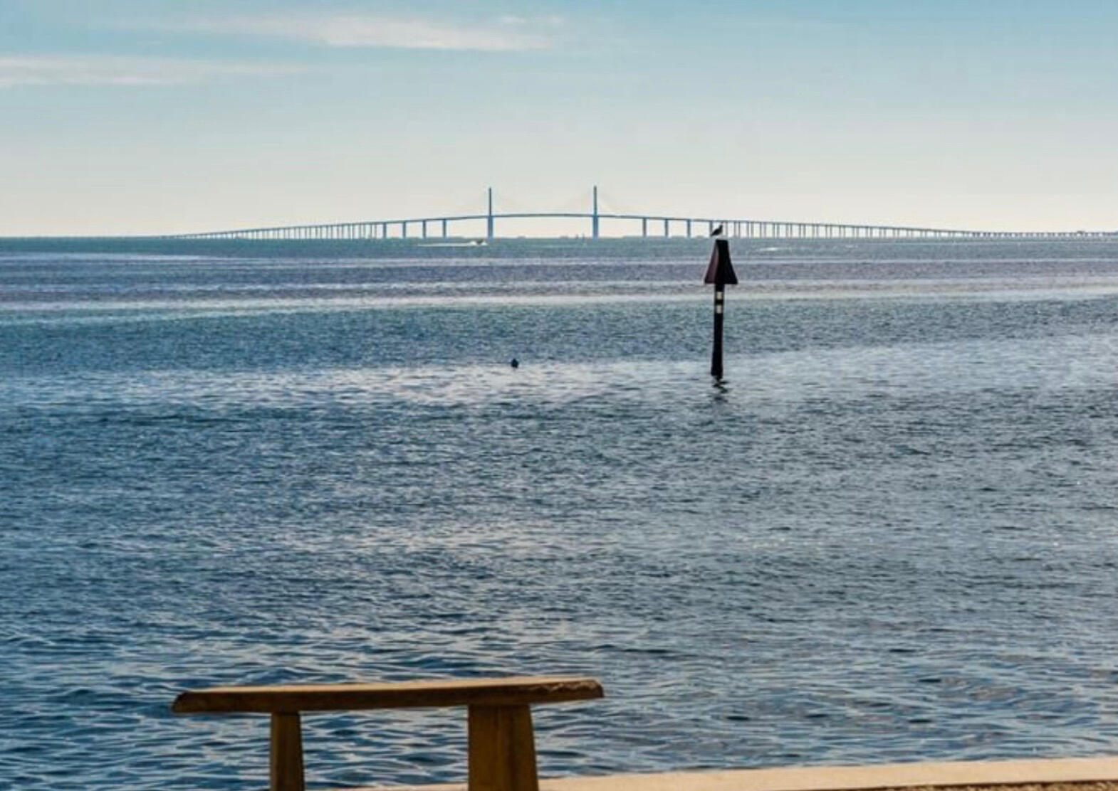 View of Tampa Bay and the Skyway Bridge View of Skyway Bridge from Skyway Vista Patio